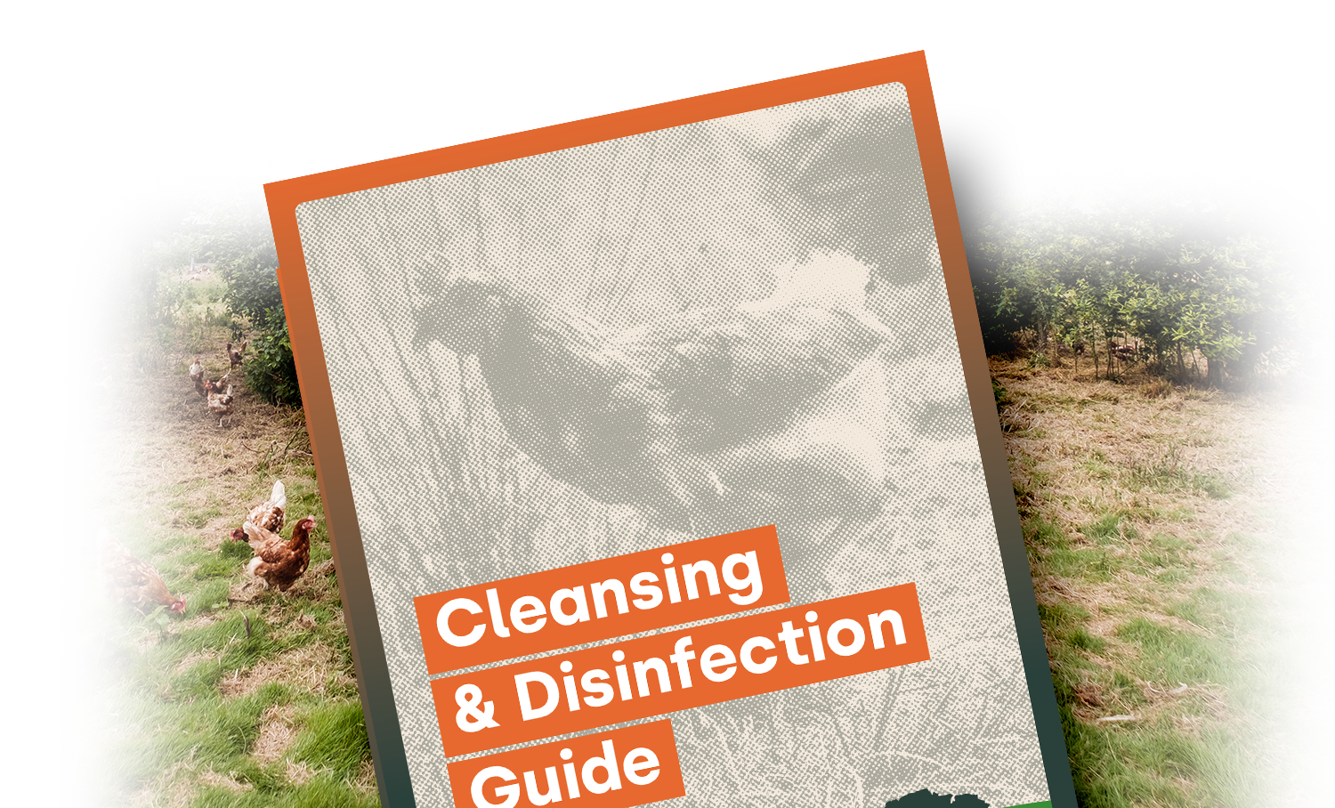 CleansingDisinfection_Image1-V2-1