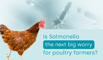 How does a Salmonella outbreak actually affect farmers?