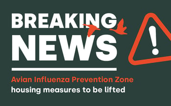 Avian Influenza Prevention Zone housing measures to be lifted