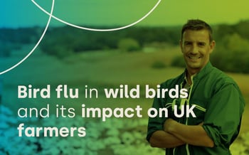 Bird flu in wild birds and its impact on UK farmers
