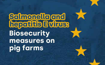 Salmonella and hepatitis E virus: Biosecurity on pig farms