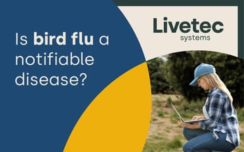 Is bird flu a notifiable disease?