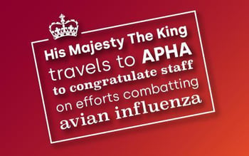 King Charles travels to APHA to congratulate staff on efforts combatting avian influenza