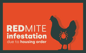Why are red mites a concern to bird keepers?