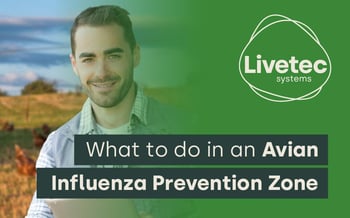 What to do in an Avian Influenza Prevention Zone