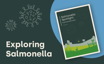 What do you need to know about Salmonella?