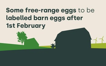 Some free-range eggs to be labelled barn eggs after 1st February