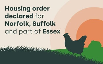 Housing order declared for Norfolk, Suffolk and part of Essex