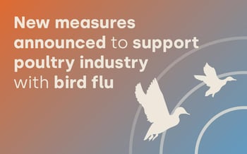 New measures announced to support poultry industry with bird flu