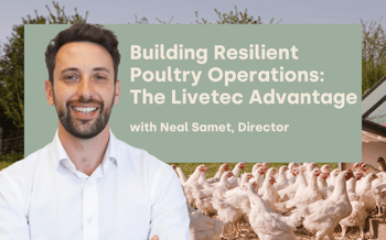 Building Resilient Poultry Operations: The Livetec Advantage