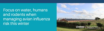 Focus on water, humans and rodents when managing avian influenza risk this winter