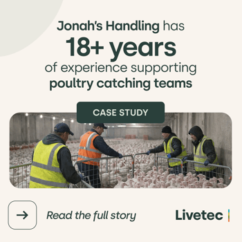 Strengthening biosecurity and safety training for poultry catching teams