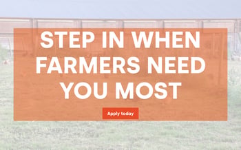 Join Livetec This Autumn: Help UK Farming Through Avian Influenza Challenges