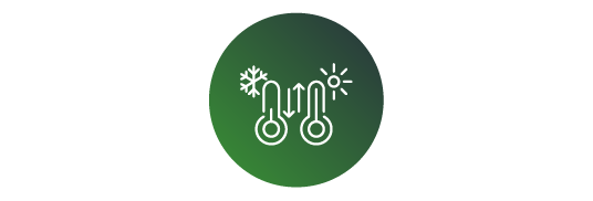 temp_icon