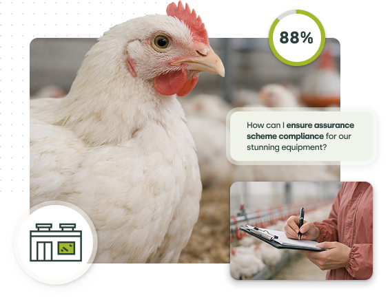 abattoirs_prosessors