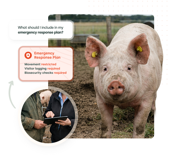 pig_producers