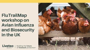 FluTrail Map Workshop: 5 takeaways that really matter for producers (and the people supporting them)