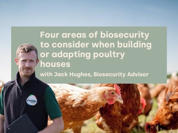 Four areas of biosecurity to consider when building or adapting poultry houses