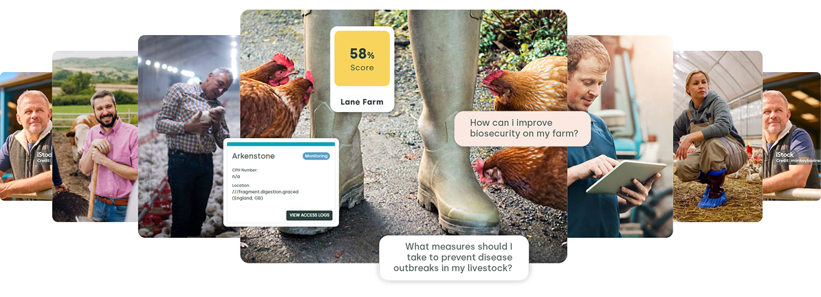 hero_image hero_image